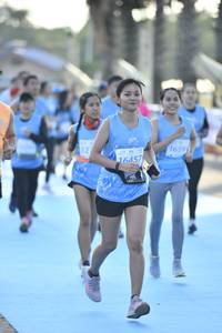 BIB: 43393, 452, 41812, 5246, 43005
                            <button type="button" onclick="openModal(10623058)" class="btn btn-primary btn-sm float-right btn-popup" data-toggle="modal" data-target=".modal-high-quality">
                        <i class="fas fa-shopping-cart"></i> Add to Cart
                    </button>
                                            <button type="button" onclick="isThisMe(10623058, true)" class="btn btn-success btn-sm float-right btn-popup btn-isme hidden" data-toggle="tooltip" data-placement="bottom" title="นี่คือรูปของคุณใช่ไหม คลิกที่นี่เพื่อเอาเข้าอัลบั้ม">
                        <i class="fas fa-plus"></i> Add to album
                    </button>
                    <button type="button" onclick="isThisMe(10623058, false)" class="btn btn-warning btn-sm float-right btn-popup btn-isnotme hidden">
                        <i class="fas fa-ban"></i> Remove from album
                    </button>